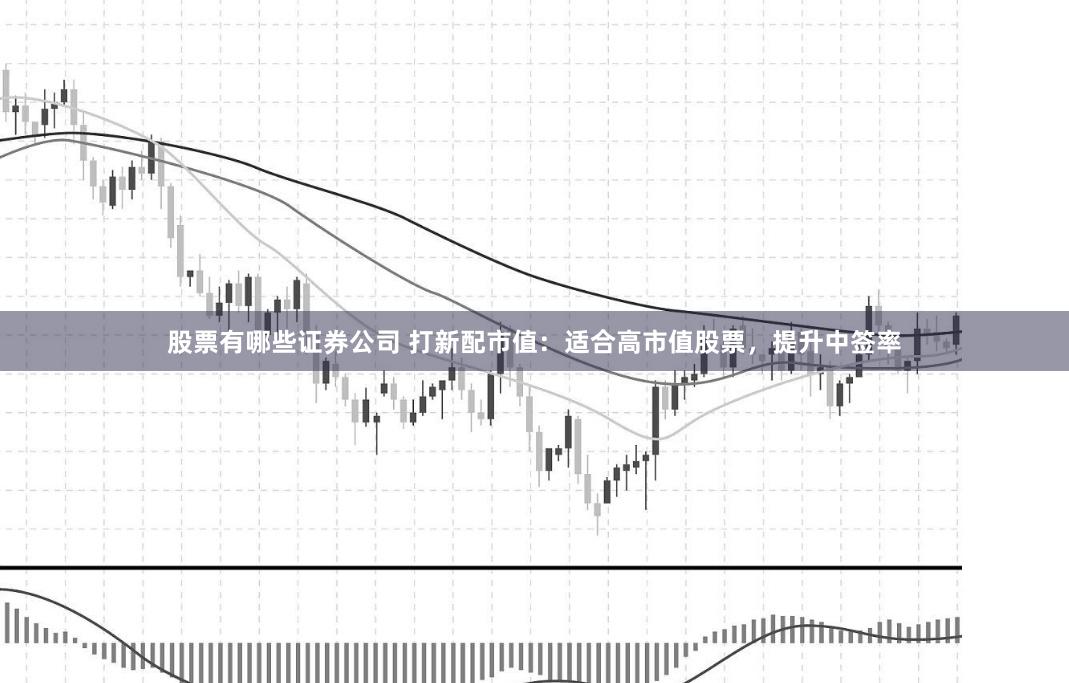 股票有哪些证券公司 打新配市值:适合高市值股票,提升中签率