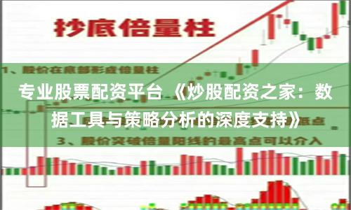 专业股票配资平台 《炒股配资之家:数据工具与策略分析的深度支持》